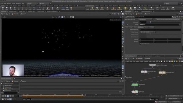 8. Example Fireworks