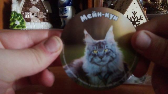 Распаковка фигурок кошек из магазина чижик. Очень интересный видос.