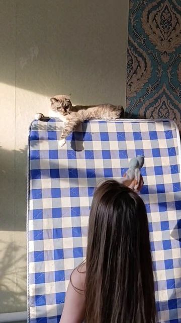 3 июня 2025 г. смотреть онлайн