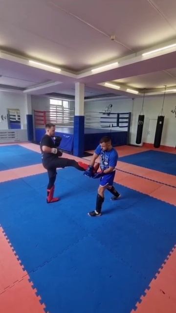 Сбив фронт-кика и контратака смотреть онлайн