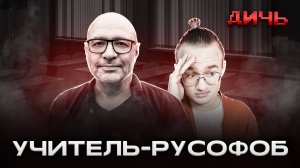 ЗИЦЕР*: школы, ВСУ, шиза | ДИЧЬ