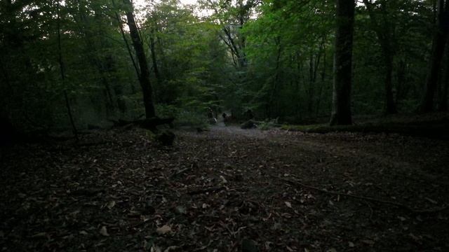 DJI_0085 смотреть онлайн