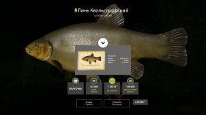 РАЗДАЧА РЕДКИХ ЛИНЕЙ НА МЕДНОМ, ОСЕТР И УСАЧ НА АХТУБЕ В РУССКОЙ РЫБАЛКЕ 4 РР4