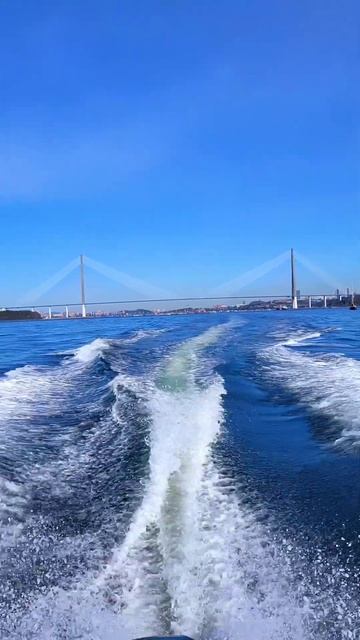 MIKATSU MF130FEL-T-EFI Владивосток #motosnab #mikatsu #лодочныймотор #лодка #vdk #shorts #тест смотреть онлайн