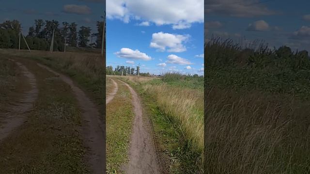 Осенний денек в Алтайском крае смотреть онлайн