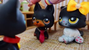 LPS сериал: «Летний роман» 1 серия