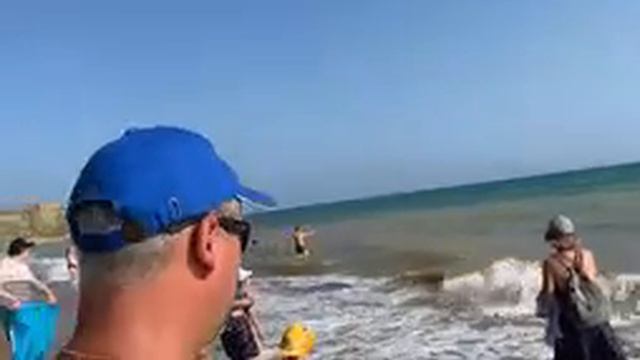 НАПАДЕНИЕ ДЕЛЬФИНА