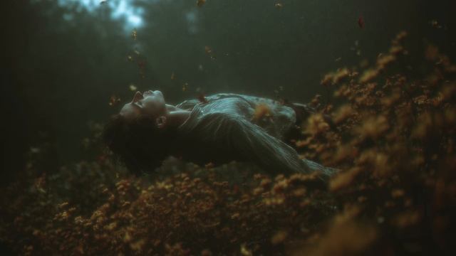 The Fragile Destiny ｜ Ambient Reflections Beyond Time - Atmospheric music compilation by NEOUS