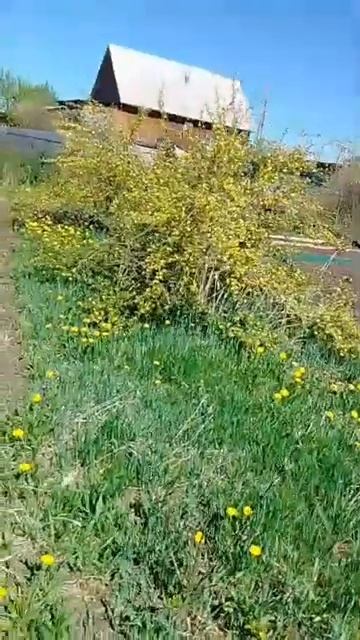 мама 2025 год смотреть онлайн