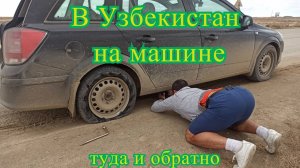 На машине в Узбекистан,  туда и обратно.