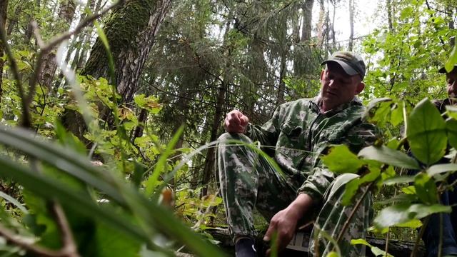 🦔Ранние опята🍄 смотреть онлайн