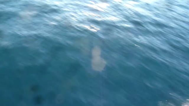 garda-partenza смотреть онлайн