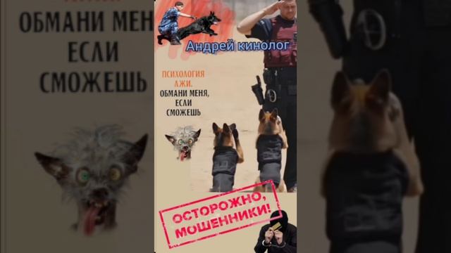 Курьеры,продлеватели и прочии. смотреть онлайн