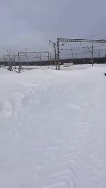 Sharmax 1450 500 18 c модулем толкач. Проходимость по глубокому снегу. Отзыв клиента Глобалдрайв. смотреть онлайн