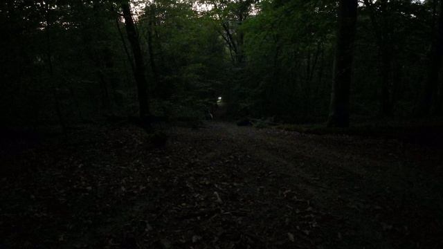 DJI_0093 смотреть онлайн