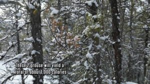 В изоляции 10 сезон 9 серия «Осколки» (документальный сериал, 2023)