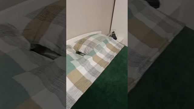 посуточно Казань 89961212855 смотреть онлайн