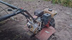 КОПАЕМ КАРТОШКУ В СЕЛЕ НОВЫЙ МАЧИМ !.