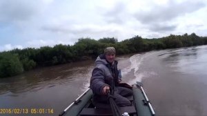 mikatsu 9.8+ тайга 290