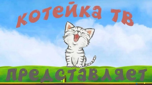 Кошки и их звуки для детей. Развивающее видео о кошках | Перезаливы YouTube