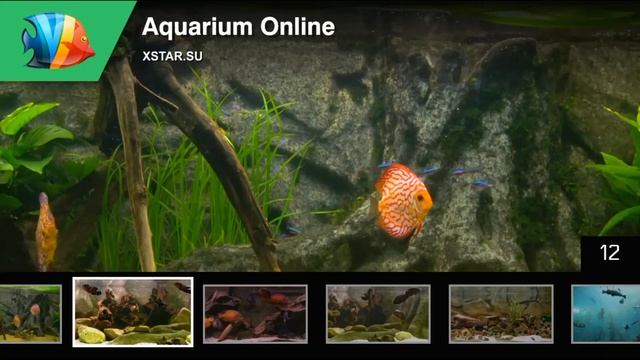 Aqua Online смотреть онлайн