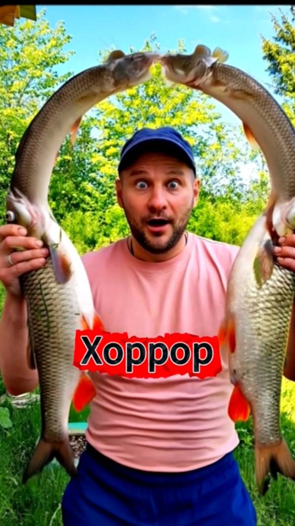 ЭТО ПОЛНЫЙ...ХОРРОР смотреть онлайн