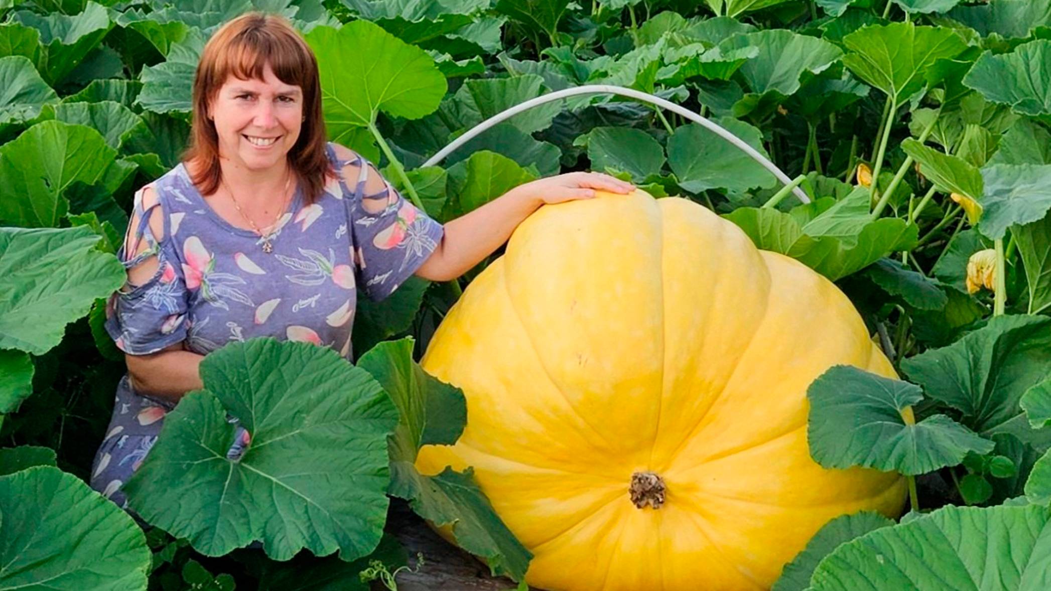 Телеканал МИР