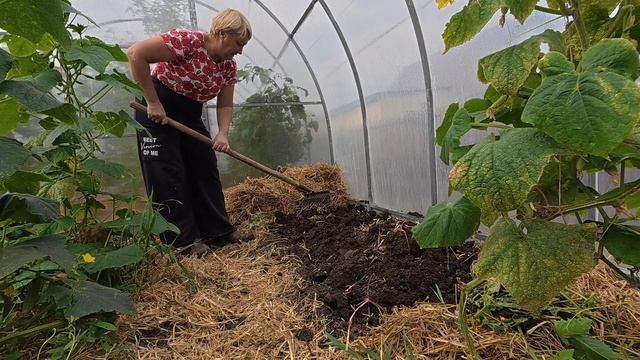 Ещё попробую. Тепличные посадки на осень смотреть онлайн