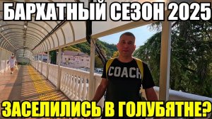 ЛАЗАРЕВСКОЕ 2025/ЗАСЕЛЕНИЕ/ДВИЖ НАЧИНАЕТСЯ #сочи #влог #лазаревское #море #отдых