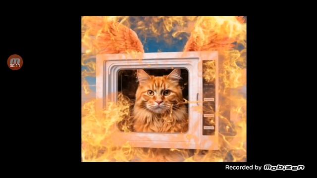 Самый секретный брэйнрот смотреть онлайн