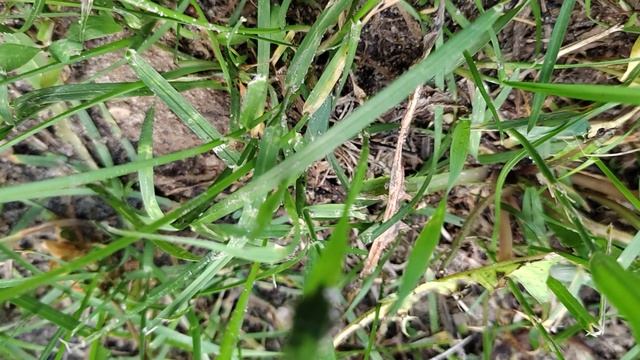 ...Я бы не взял такого в руки ...