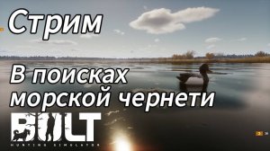 Охота на морскую чернеть в BULT
