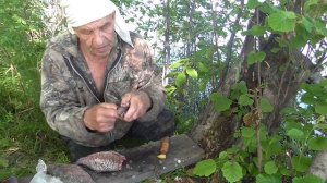 Некоторые нюансы при чистке и разделке карася