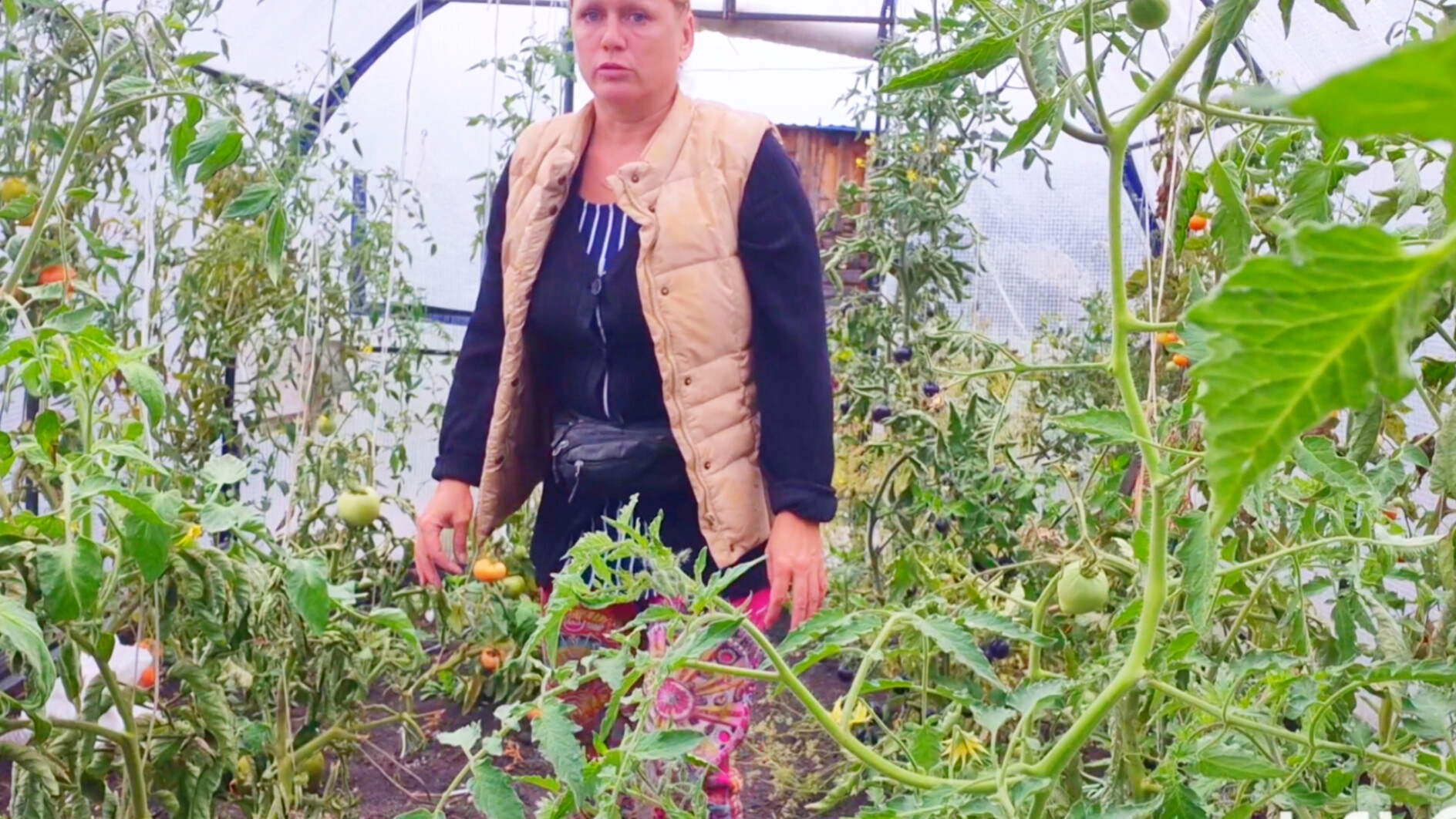 Расскажу про дядь Витину жизнь пока убираю в теплице смотреть онлайн