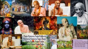 Совершенные вопросы, совершенные ответы - Шрила Прабхупада