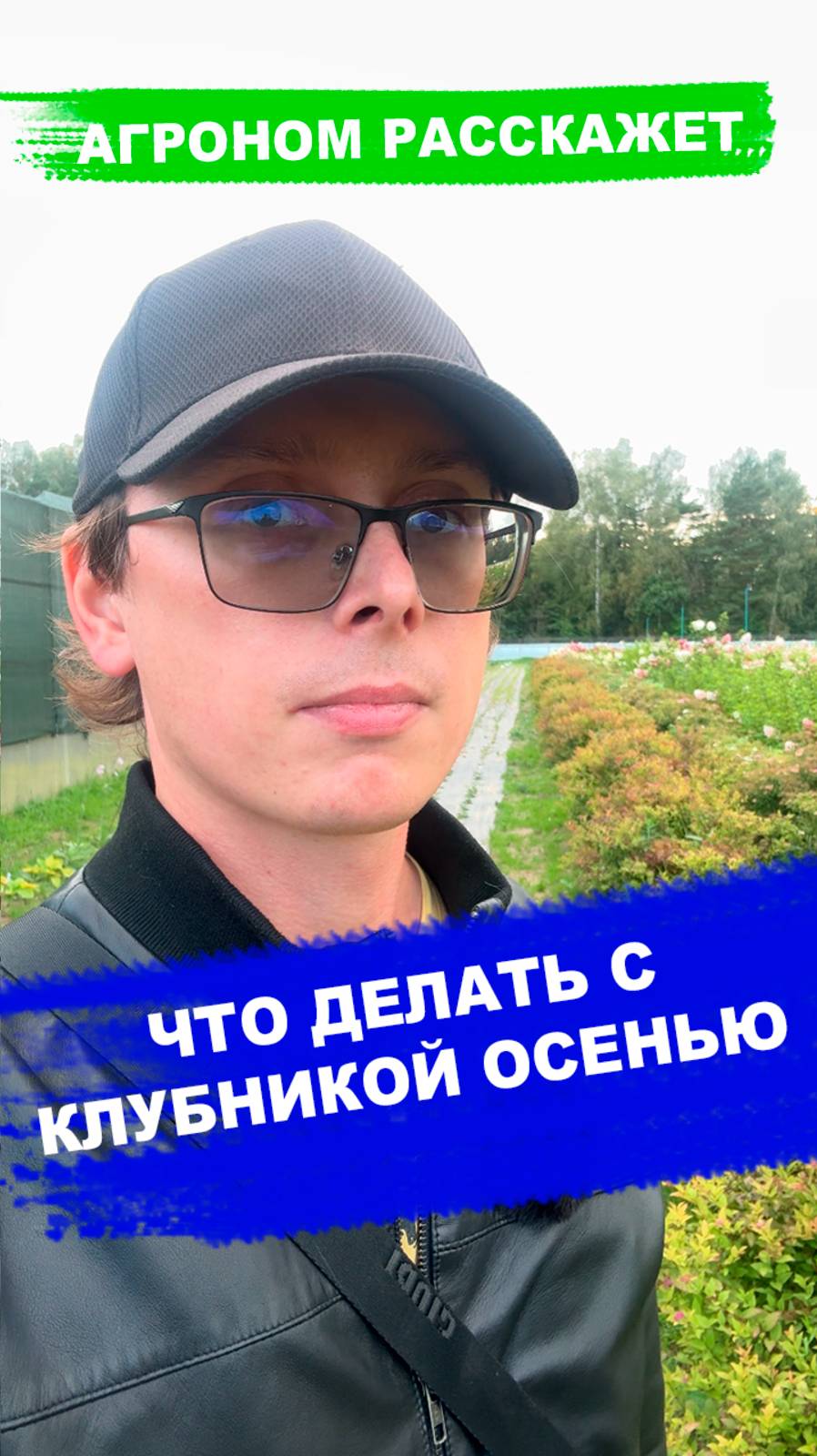 Что делать с клубникой осенью? смотреть онлайн