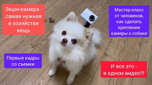 Крепление для экшн-камеры собаке на шлейку своими руками смотреть онлайн