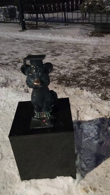 Барсик-судья у здания Псковского областного суда смотреть онлайн