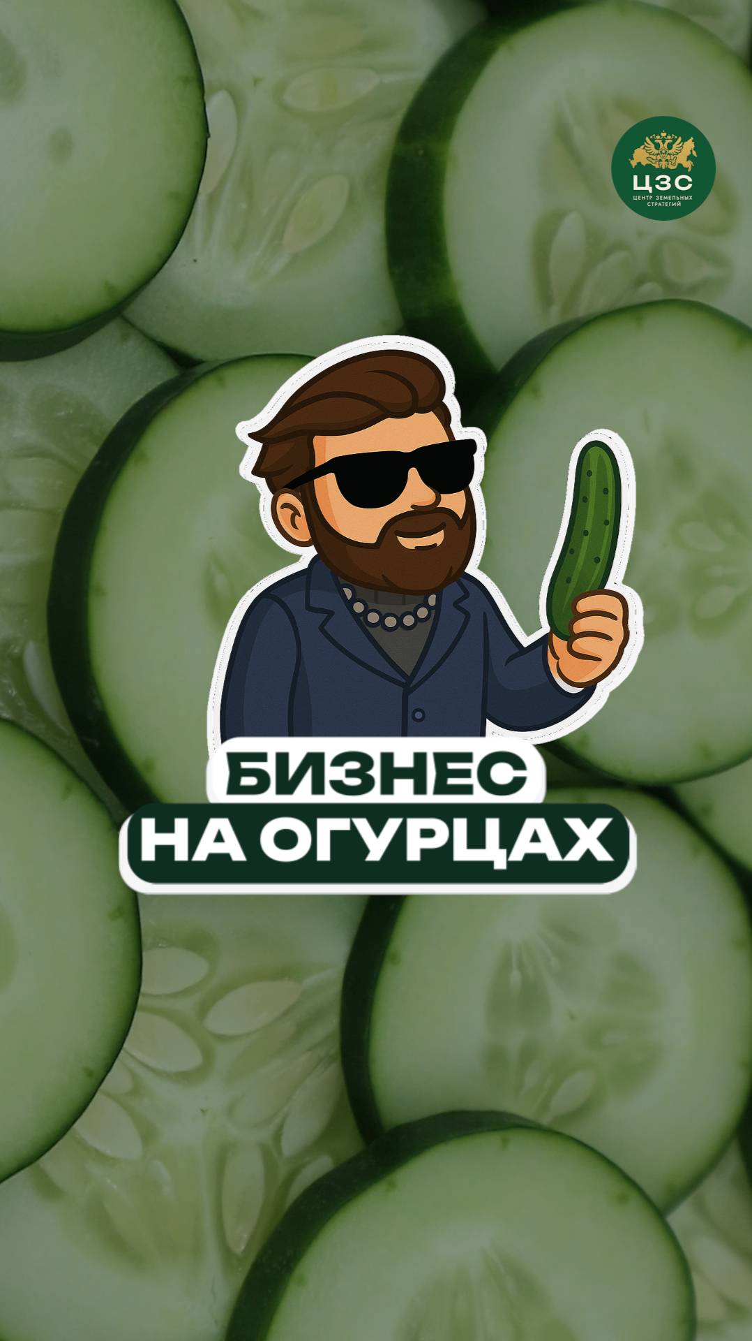 Тепличный бизнес: секреты больших доходов!