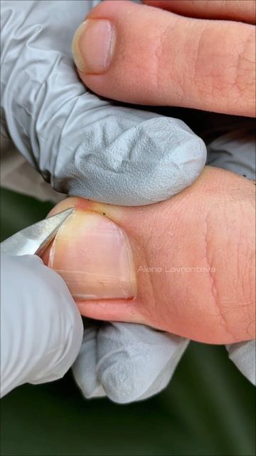 Алена Лаврентьева