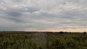бек3_290825