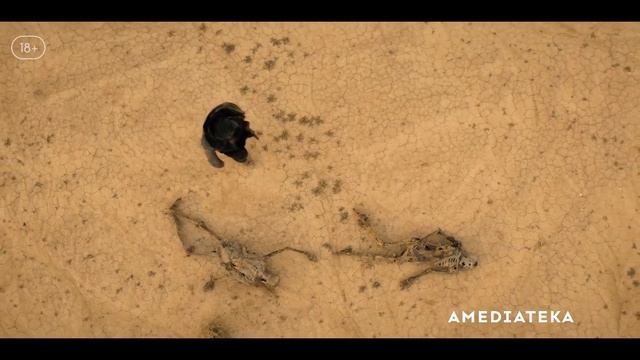 Ходячие мертвецы: Дэрил Диксон (3 сезон) — Русский Трейлер (2025) смотреть онлайн