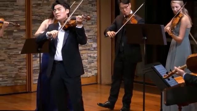 Vivaldi Winter Linverno I Allegro non molto - Four Seasons - RAY CHEN