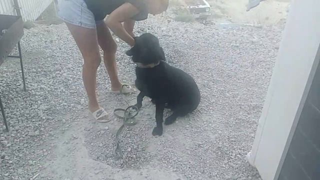 04-09-2025 Бешенные крючки. Тридцать дней актива. смотреть онлайн