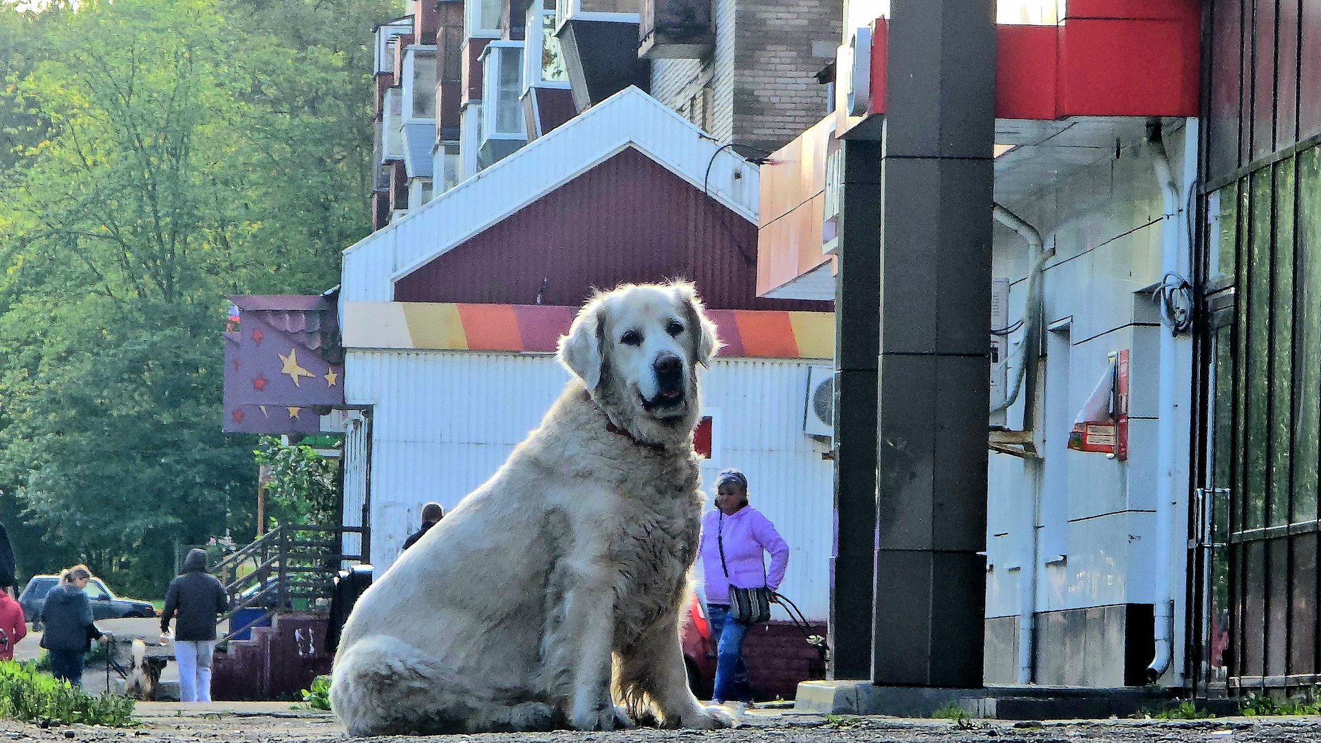 В чужом городе