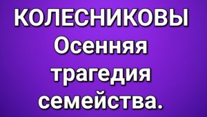 Колесниковы/Обзор.
