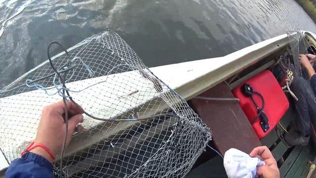 Пробная ловля раков и обкатка мотора Mikatsu 9.9 на Казанке смотреть онлайн