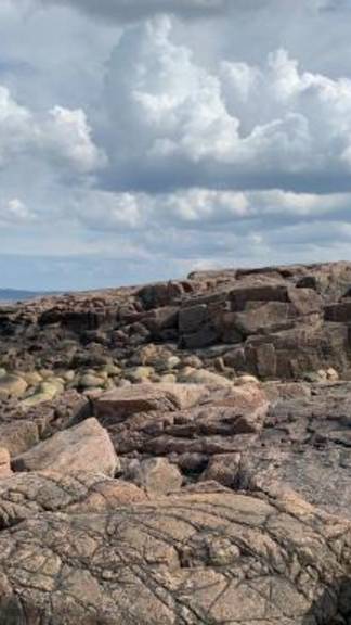 ЗАЧЕТНАЯ НАХОДКА!!!