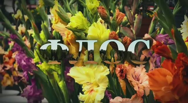 Telegram-cloud-document-2-5319147168794181122