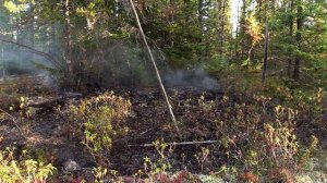 В изоляции 10 сезон 3 серия «Трудности роста» (документальный сериал, 2023)